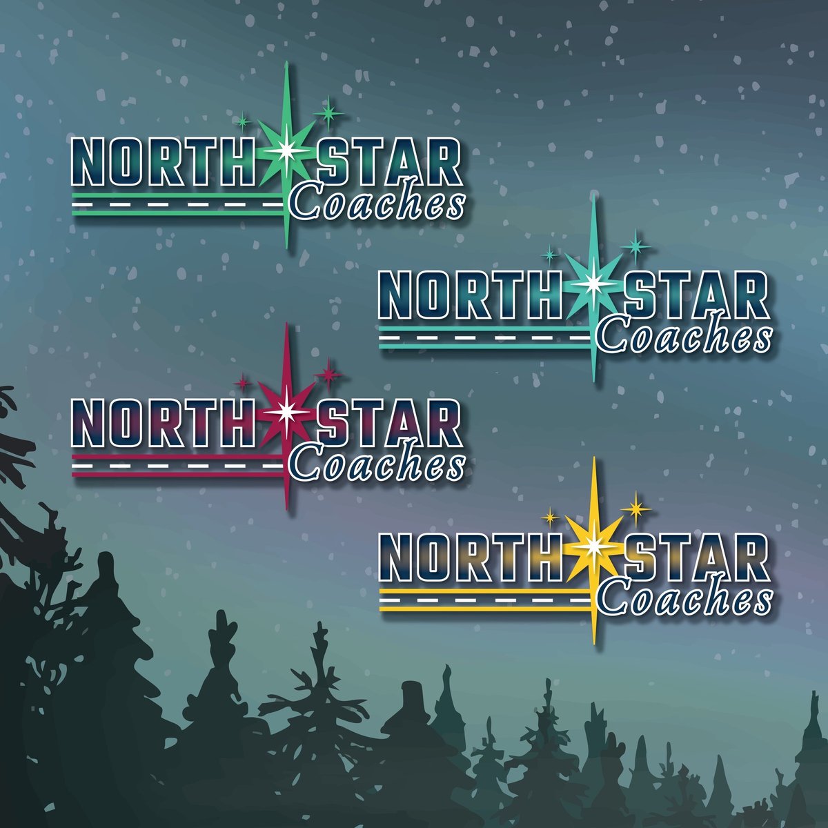 North Star Coaches logo variations with star symbols in green, teal, red, and yellow against a snowy night sky and forest silhouette