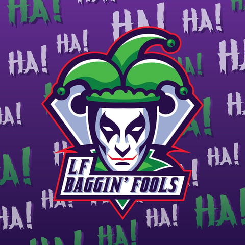 Baggin Fools logo featuring a jester character with green and red jester hat on purple background with HA text pattern